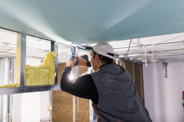 Best Insulation Maintenance and Repair in Colonial Heights, TN