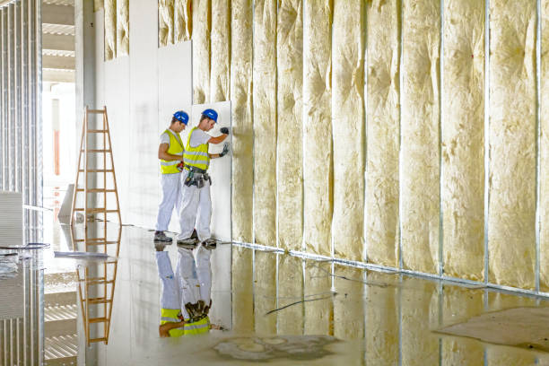Best Specialty Insulation in Colonial Heights, TN
